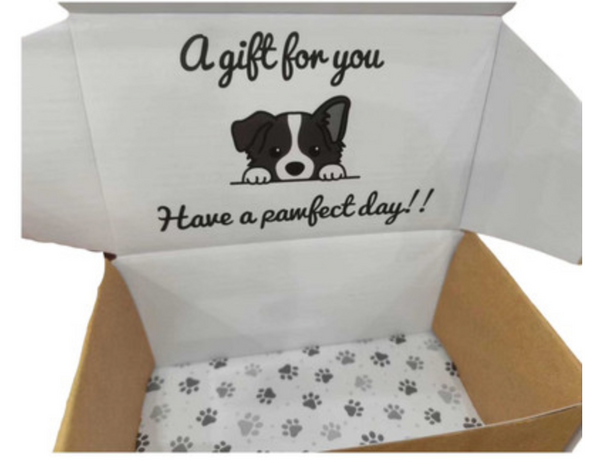 Pawfect Day Mailer Box